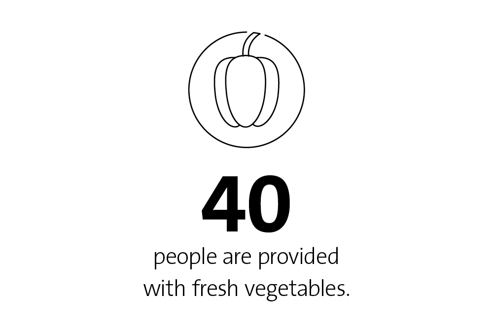 Info-icon: Paprika 40 people are provided with fresh vegetables.
