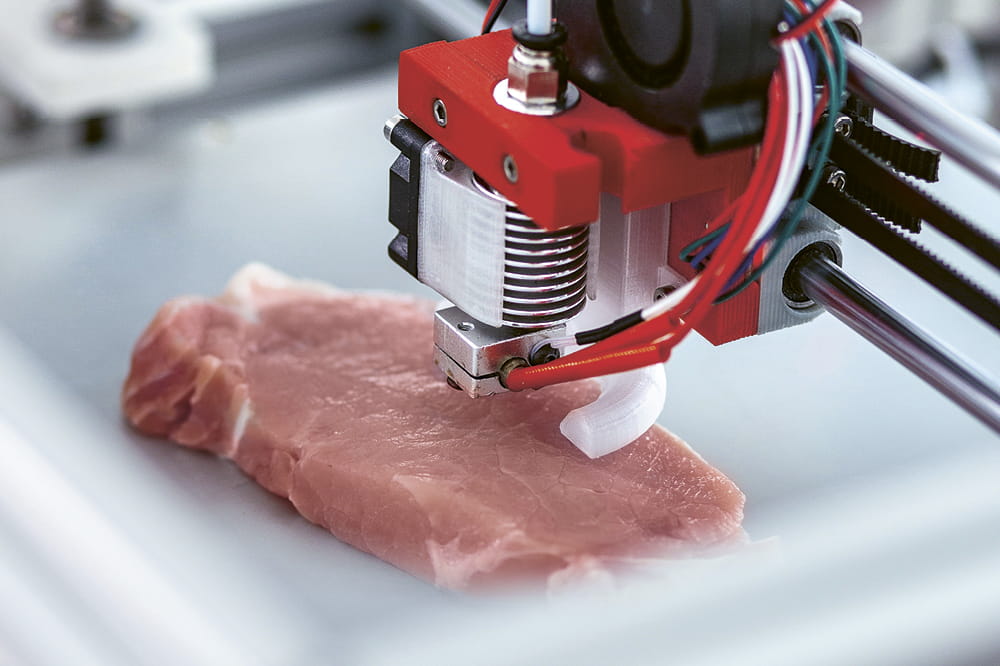 A 3D Printer prints a piece of meat.