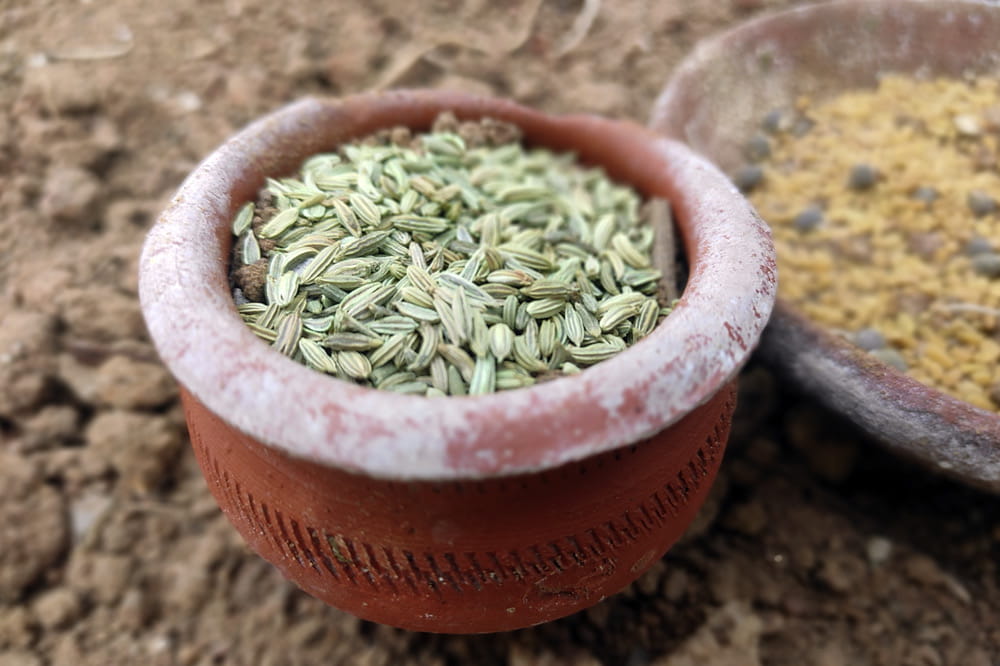 Seeds lay in a bowl.