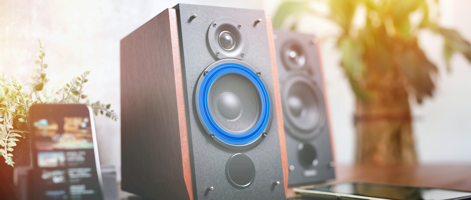 Loudspeaker boxes stand on a table.
