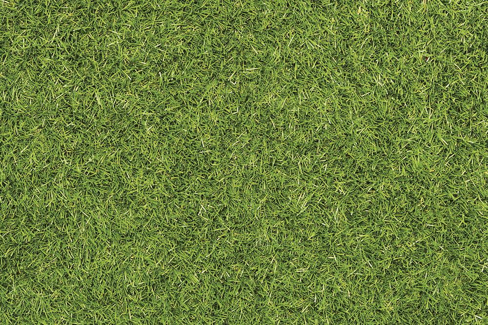 Green grass. Copyright: iStock/Nastco
