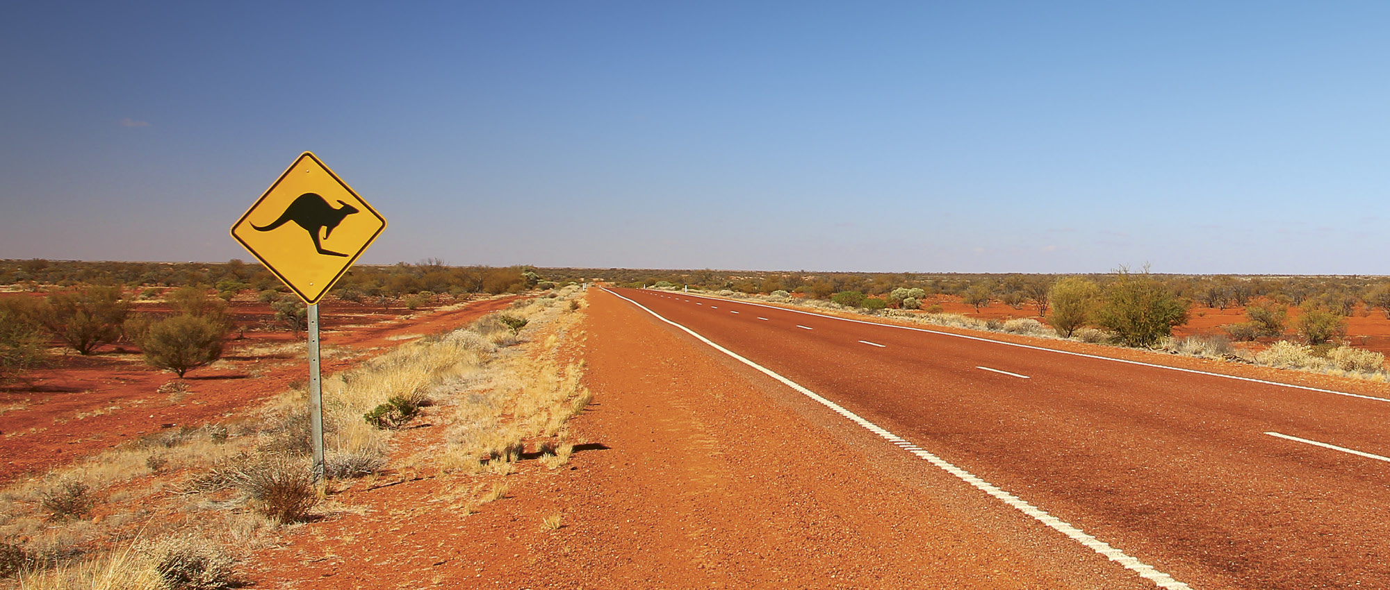Road in the australian outback and a yellow sign with a black kangaroo. Copyright: iStock/Totajla