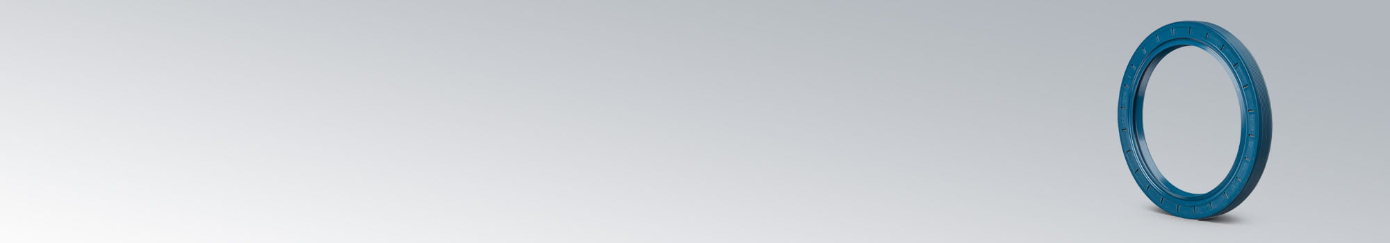 Radialwellendichtring