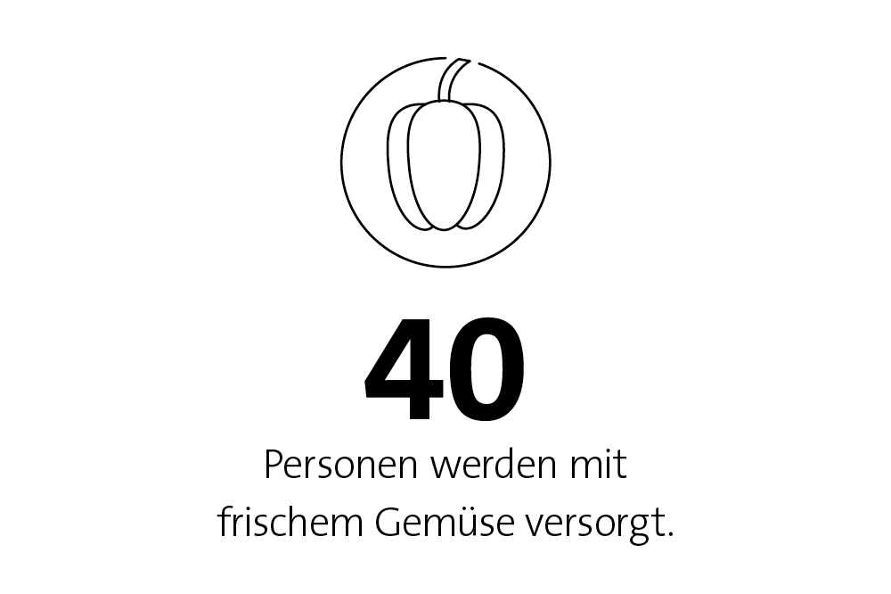 facts and figures