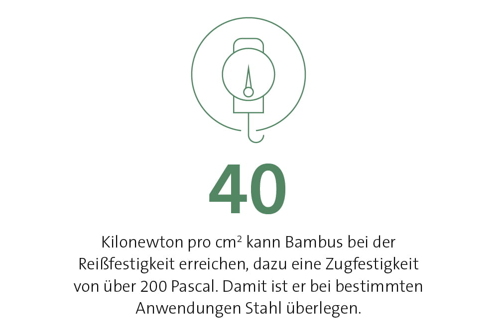 40 Kilonewton pro cm2 kann Bambus bei der Reißfestigkeit erreichen, dazu eine Zugfestigkeit von über 200 Pascal. 