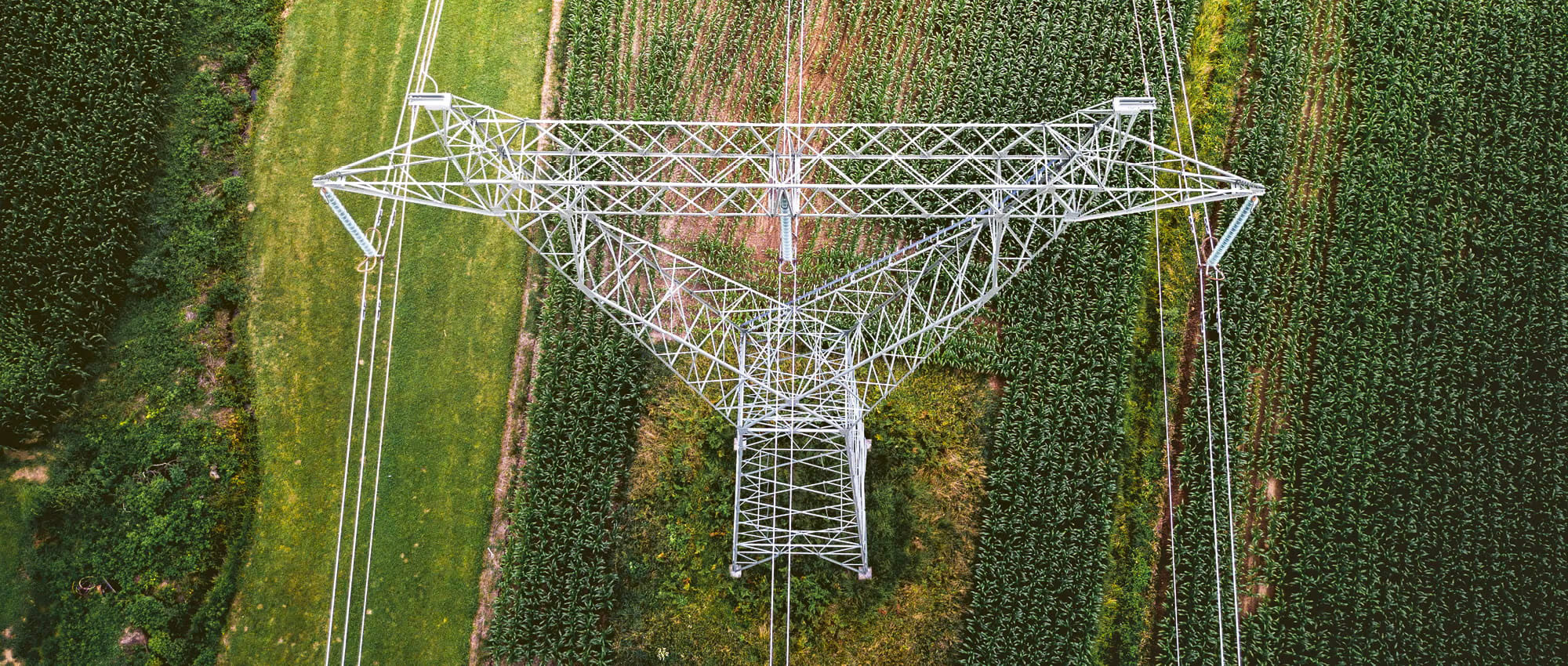 Freileitungsmast in einem grünen Feld. Copyright: iStock/Nejc Gostincar