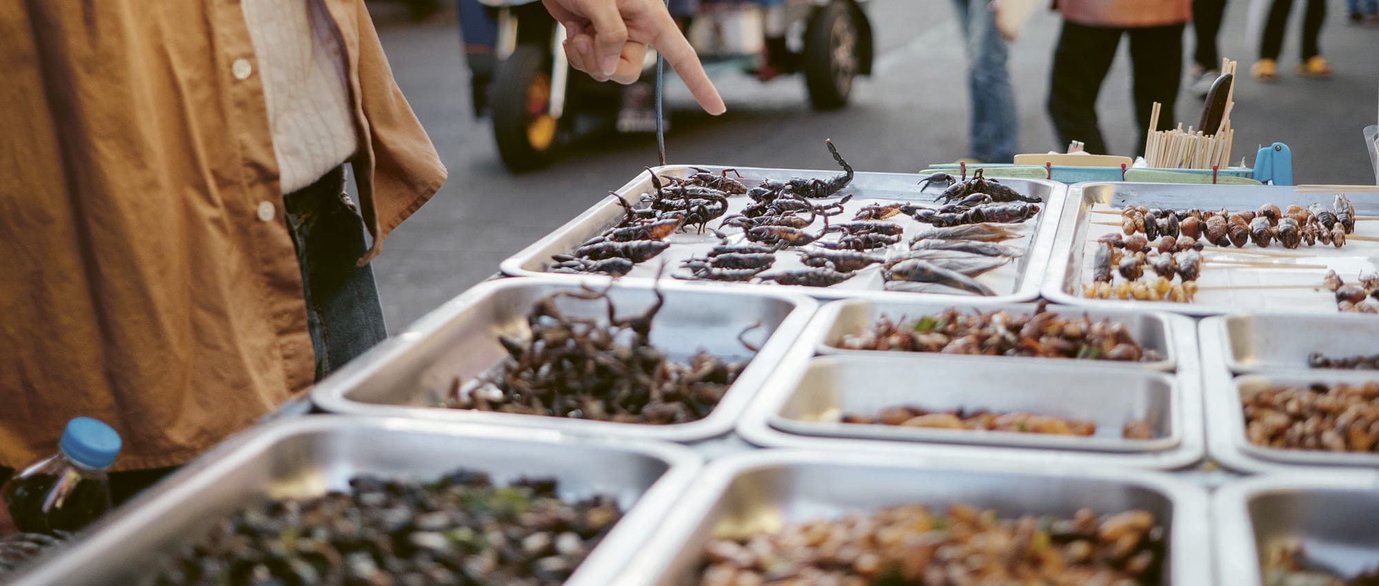 Ein Mann zeigt mit seinem Finger auf ausgestellte Insekten auf einem Markt. Copyright: iStock/staticnak1983